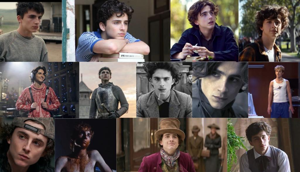 Timothée Chalamet, la fulgurante ascension d’un acteur prodigue