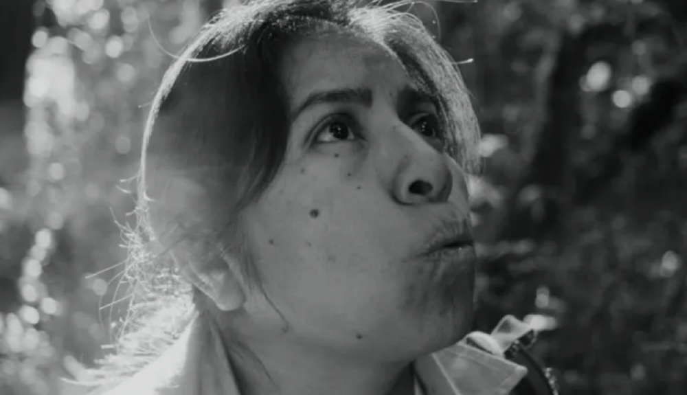 La Reserva, premier film de Pablo Pérez Lombardini, et le cinéma mexicain, grands vainqueurs de CinéLatino 2026